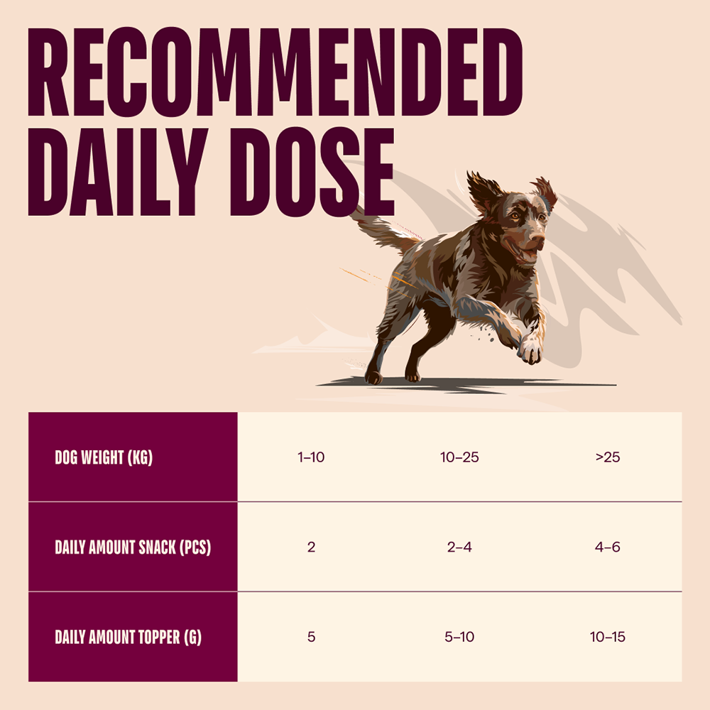 Carnilove Freeze-Dried Raw Snacks Lamb 60g